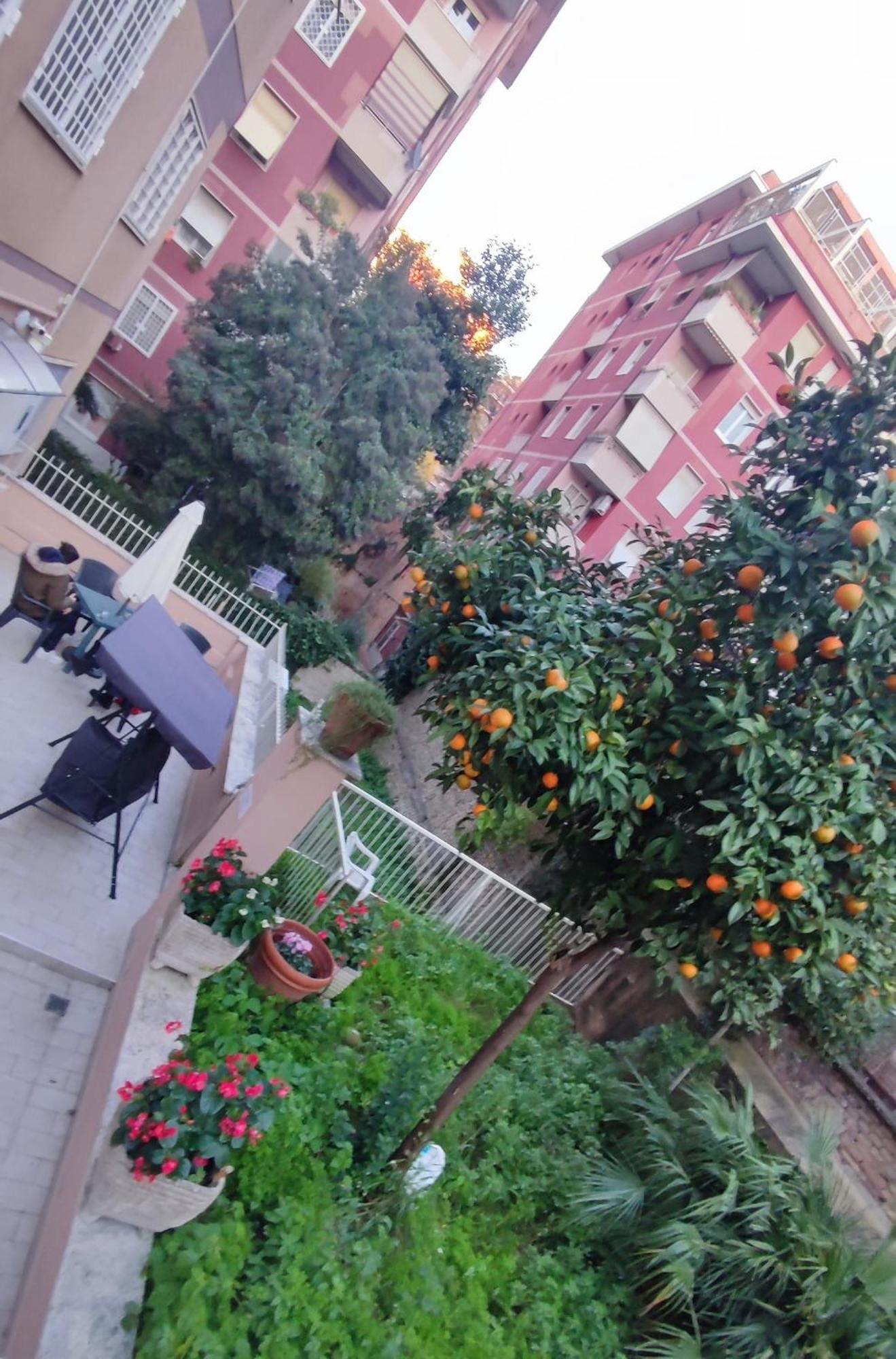 Vatican Green Garden Rome Buitenkant foto